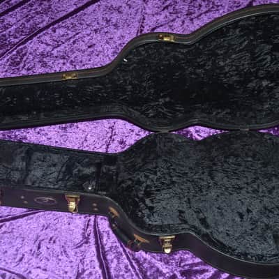 Breedlove guitar case for 00-sized, classical, OM-sized, guitars image 3