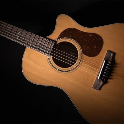 Cort All Solid Woods Gold Series A6 Auditorium w/ Fishman Flex Blend Electronics, Case image 14