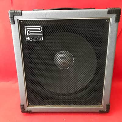 Roland SCB-100 Super Cube 100-Watt 1x15