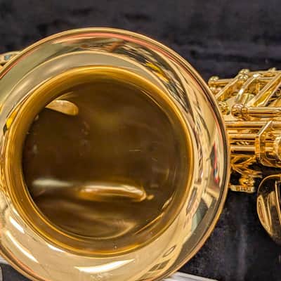Alpine Woodwinds AAS143 2010's Alto Saxophone with Case - Gold image 18