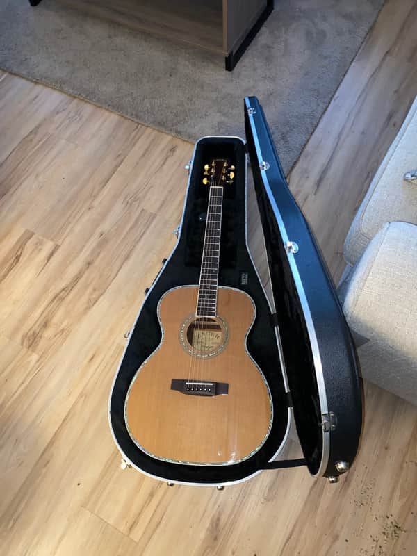 Zager ZAD800M/N 6 String guitar comes with extras see all pics image 1
