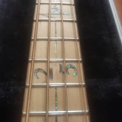 Ortega 25th Anniversary walker VIDEO
with stagg hard case image 5