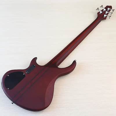 Custom 5 String Electric Bass, Sapele Wood Body, 24 Frets Fingerboard Maple Neck image 4