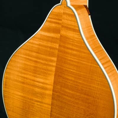 Bourgeois M5A Mandolin Full Aged Tone Adirondack Spruce and European Flamed Maple NEW image 15