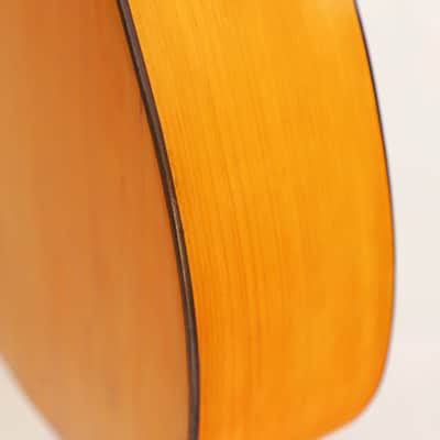 Francisco Pau ~1890 early Spanish guitar in Torres Style - outstanding construction + sound -check video image 12