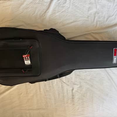 Gator Cassis Semi-rigid case image 1