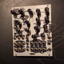 Noise Engineering Loquelic Iteritas Percido 2018 - Present - Silver