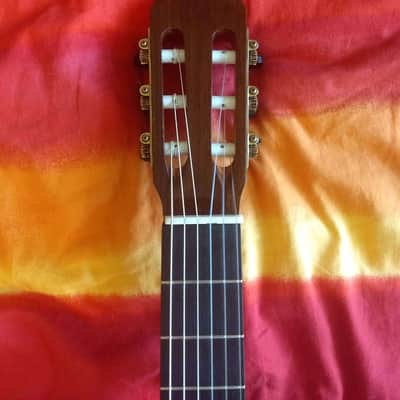 Kenneth Hill Performance Model 2015 Schellack, cedar, Indian rosewood, image 6