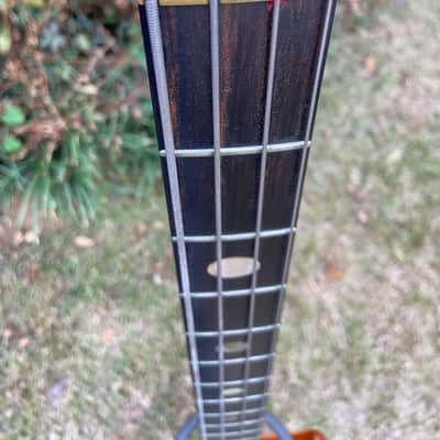 Alembic Series 1 1975 - Natural image 6