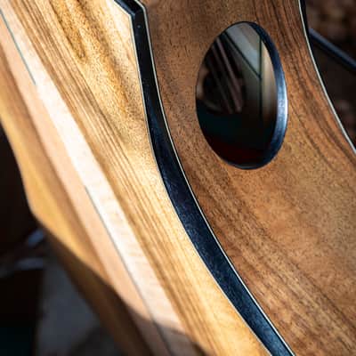 Salz Guitars PS 2023 - Sitka spruce & European walnut image 13