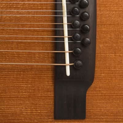 Circle Strings  A-1 10 String Acoustic Flat Top Guitar (2018), ser. #119, original molded white plastic hard shell case. image 13
