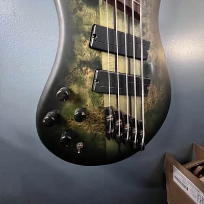 Spector NS Dimension 5 Left-Handed 2021 - Present - Haunted Moss Matte image 3