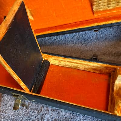 Ess & Ess guitar case image 21