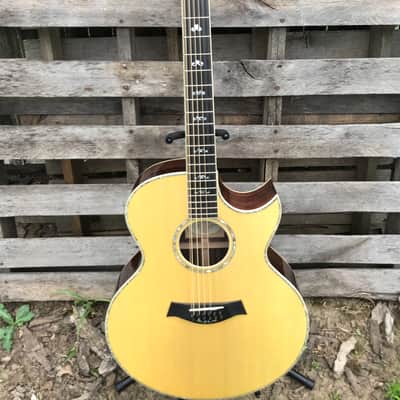 Taylor 955 12-string acoustic guitar image 1