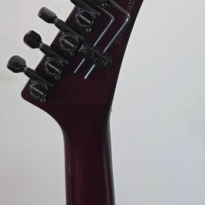 Kramer Assault Plus 2010 - Bengal burst image 8