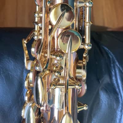 Yanagisawa Elite Alto Saxophone A-WO20 2022 in Bronze image 5