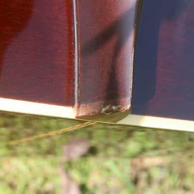 Zen-On Roje RF300 Western Guitar CIRCA 1975 - Natural image 14