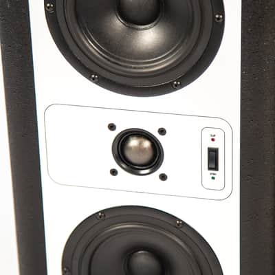 Barefoot MicroMain 27 Gen 1 Owned by Billy Corgan image 6