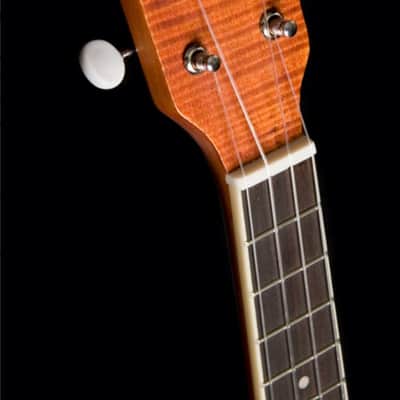 Oscar Schmidt OUB1 | 4-string Concert Banjolele. New with Full Warranty! image 3
