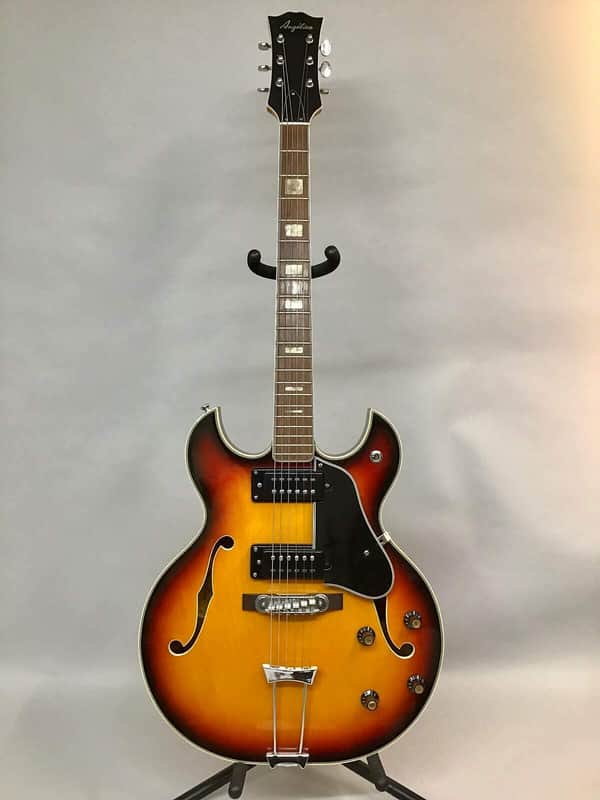 Angelica Barney Kessel Style Hollowbody 1970s Sunburst image 1