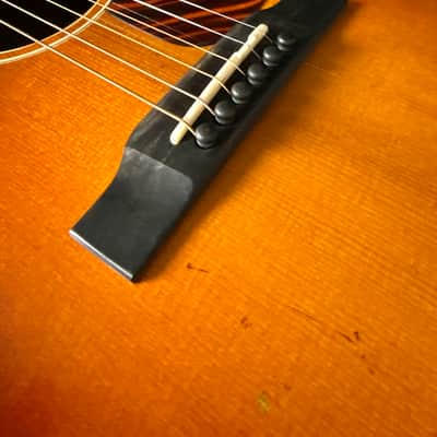 Eastman E22SS/v 2025 - Sunburst image 5
