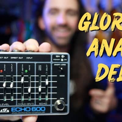 PastFx Echo 600 Analog Delay Bucket Brigade MN3005 x 3 image 1