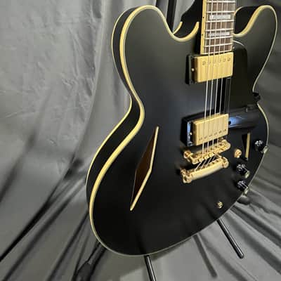 Epiphone Emily Wolfe Sheraton w/ PICKGUARD / Black Aged Gloss w/EpiLite Case Excellent image 9