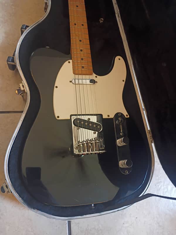 Fender 
