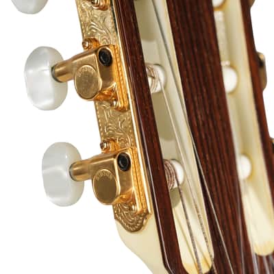 1980 – Gibson Chet Atkins CE -Alpine White image 12