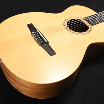Taylor Academy 12e-N Grand Concert Acoustic-Electric Guitar Natural 071 image 1