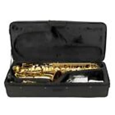 New Student Paint Gold Alto Eb Sax Saxophone w/ Case Accessories image 3