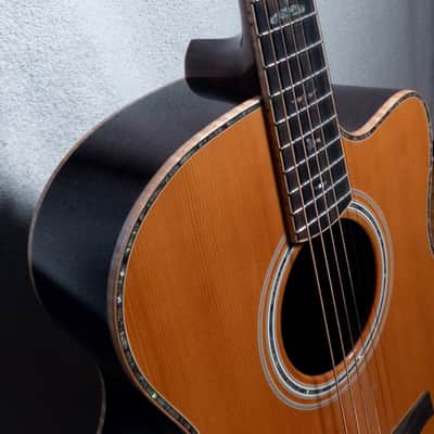 PRS SE A60E Angelus + Hard Case image 1