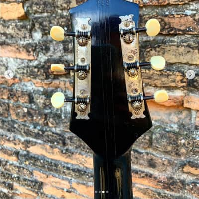 Eko 888 1960 - Black nitro image 5