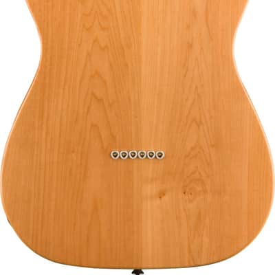 Squier Classic Vibe '70s Telecaster Thinline Maple Fingerboard Natural (Used) image 2