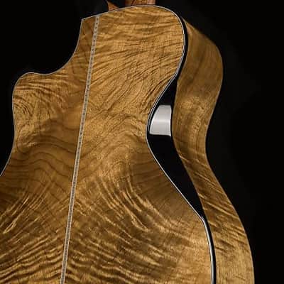 Cort Gold Edge Acoustic-Electric w/ Case, Grand Auditorium Torrefied Solid Spruce Top 1 3/4"(45mm) Nut, Mint image 4