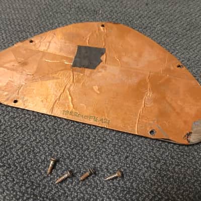 1969 Gibson Les Paul Personal/Professional Control Cover image 2
