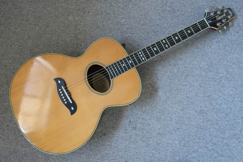 Vintage 1970s Aria FE60 Elecord Inlay Rare Jumbo Electric | Reverb