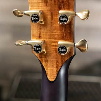Taylor ‘25 Catch Custom C12e #37 Mahogany/Adirondack Grand Concert Acoustic/Electric with Hardshell Case image 7