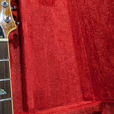 Vintage B.C. Rich Hard case 80's Mockingbird Eagle Gunslinger image 20