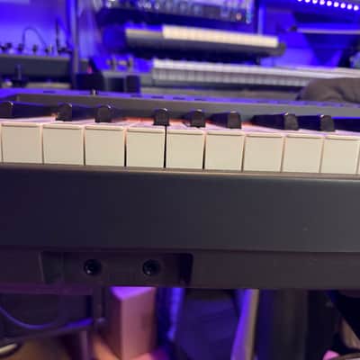 Yamaha P-95 2000s image 4