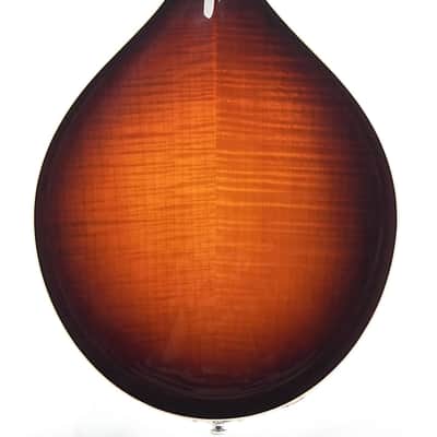 Bulas A-Style Artemis Mandolin image 8