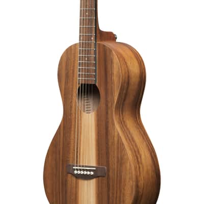 Ibanez PN2WS PN Acoustic Guitar - Open Pore Brown image 5