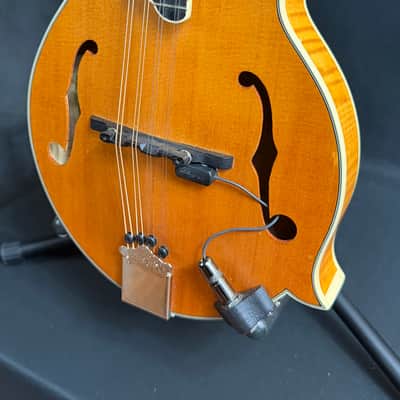 Epiphone MM-50E Professional F-Style Mandolin Blonde Natural w/ LR Baggs Pickup image 4