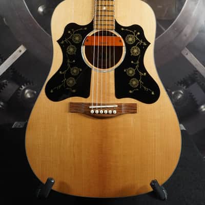 Eastman PCH1-D Dreadnought Acoustic Guitar w/ Eastman Gig Bag & Pickup – Players Grade image 1