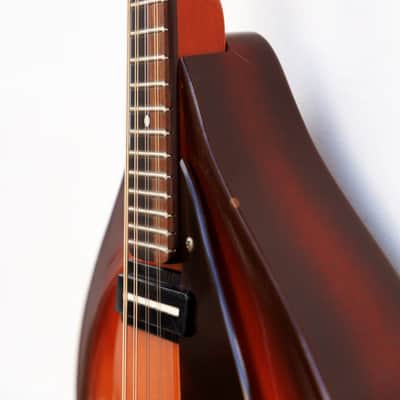 Eko MD-2 Electra 1968 vintage mandolin image 4