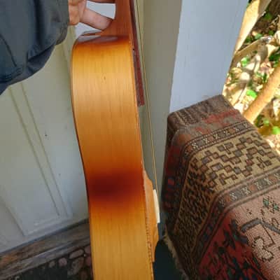Soviet "Cigar Box" Tenor Guitar/Steel Sting Baritone Ukulele image 6