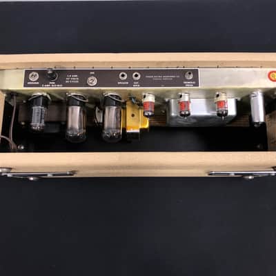 1963 Fender Tremolux Amp Head (Blonde 6G9-B) w/ 2X10 Cabinet Owned by Ian D'Sa of Billy Talent image 5