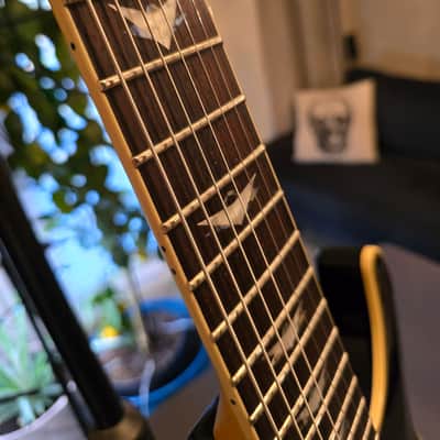 Schecter Omen Extreme-7 2010 - Present - See-Thru Black image 6