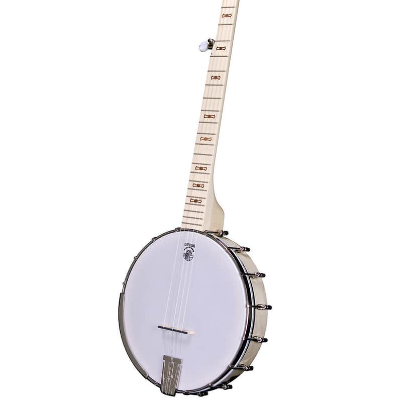 Deering Goodtime Special Openback 5 String Banjo image 1