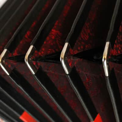 NEW Alpine Rosewood Beltuna Alpstar IV D Luxe Diatonic Accordion MMM Key of FBbEbAb 48 16 image 2